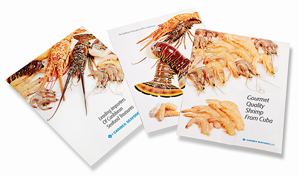 Carribex Seafood Brochure
