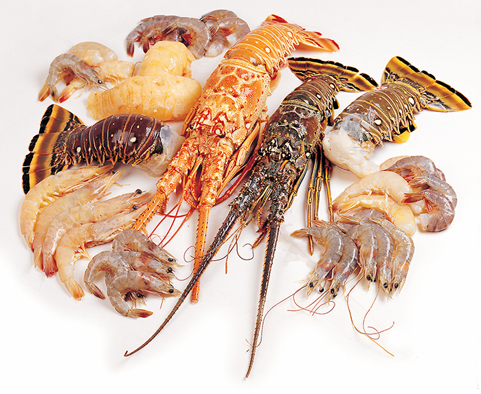 Seafood Photography